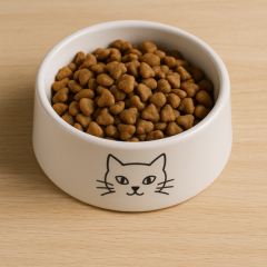 Repas chat
