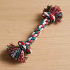 Jouets pour chien