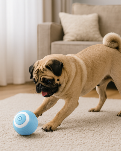 Balle interactive anti-stress et ennui rechargeable USB